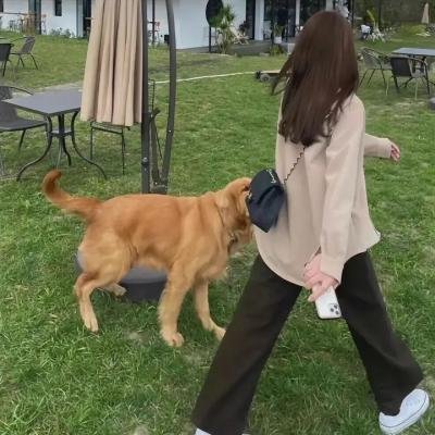 变形计第十七季